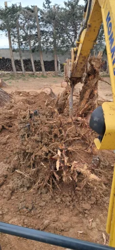 Travail avec la dent ripper