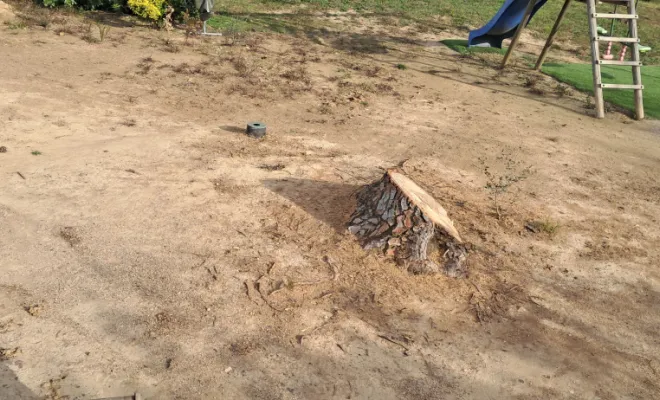 Déracinement d'arbres après la tempête Nils avec une dent Ripper à BAIXAS, Pollestres, Eric Terrassement VRD