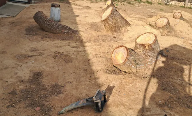 Terrain à mon arrivée