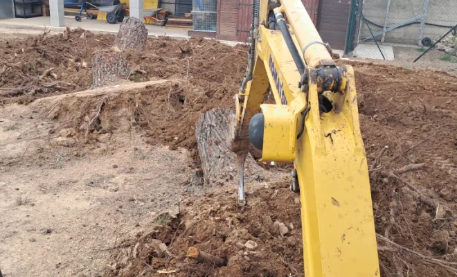 Déracinement d'arbres après la tempête Nils avec une dent Ripper à BAIXAS, Pollestres, Eric Terrassement VRD