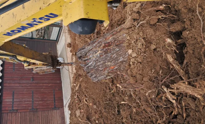 Déracinement d'arbres après la tempête Nils avec une dent Ripper à BAIXAS, Pollestres, Eric Terrassement VRD